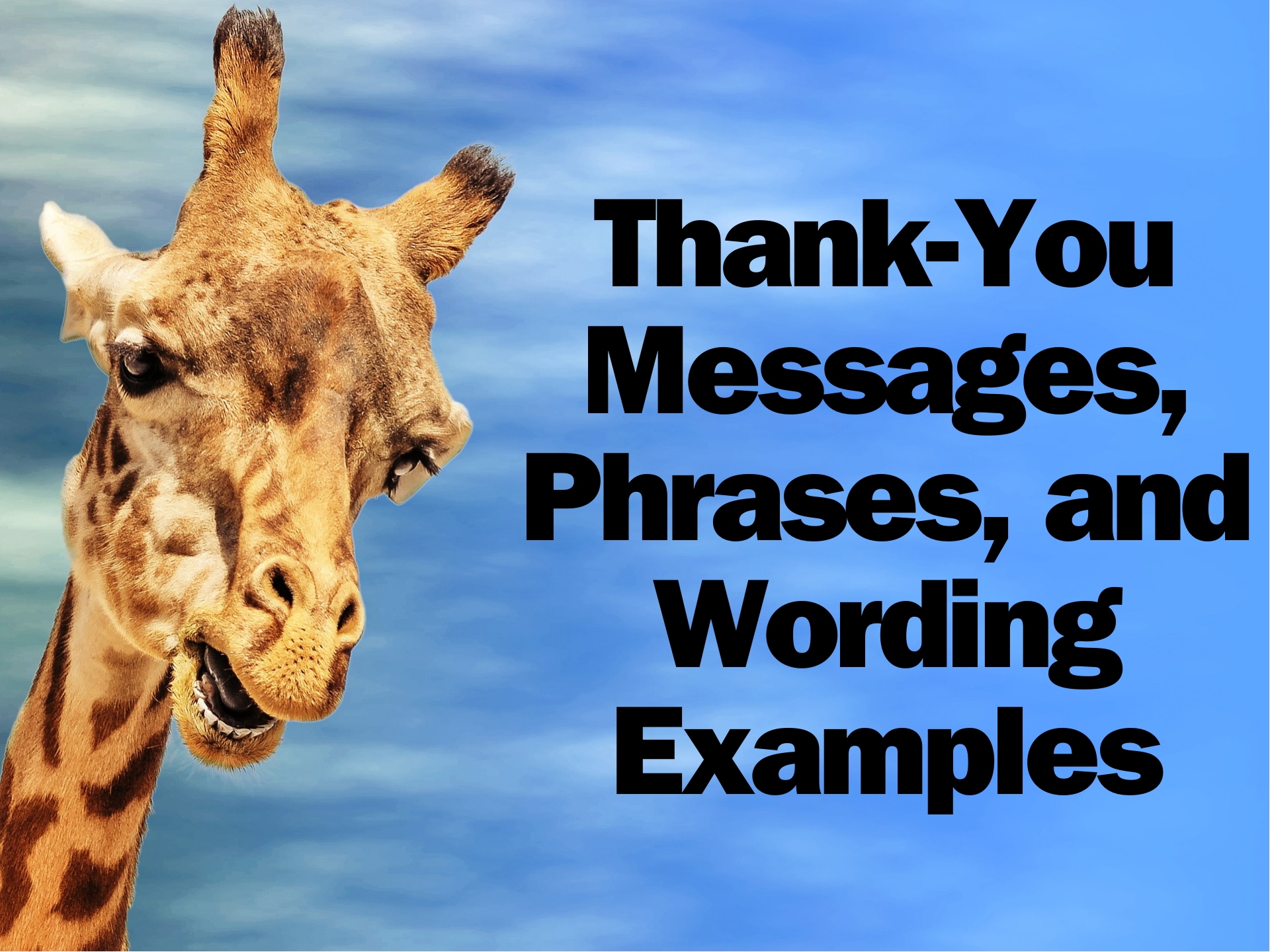Comprehensive Guide to Thank-You Messages, Phrases, and Wording Examples