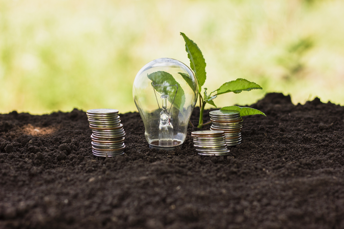 Delving Deeper into ESG Investing: A Comprehensive Guide for Investors